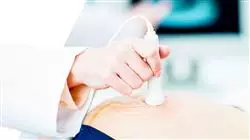 professional practices pregnancy pathologies for midwives Tech Universidad