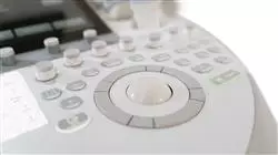 professional practices small animal ultrasound Tech Universidad