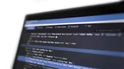 professional practices software computer systems engineering Tech Universidad