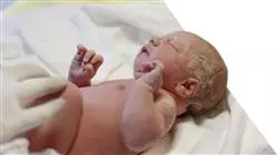 programa estagio aleitamento materno enfermeiros obstetras Tech Universidad
