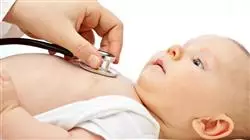 programa estagio nutricao clinica pediatria Tech Universidad