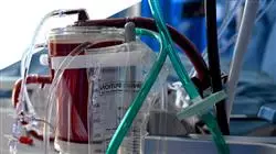 programa estagio toxicologia urgencias Tech Universidad