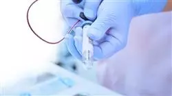 programa estagios medicina saude integrativa avancada Tech Universidad