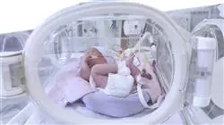 programa practicas cuidados intensivos neonatales enfermeria neonatal Tech Universidad