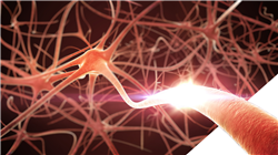semipresencial enfermedades neurodegenerativas Tech Universidad