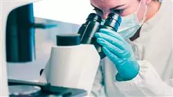 semipresencial infectologia clinica terapeutica antibiotica avanzada Tech Universidad
