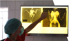 semipresencial medicina cirugia aves Tech Universidad