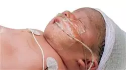 semipresencial nutricao clinica pediatria Tech Universidad