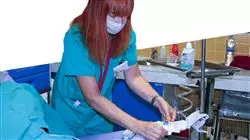stage universitari enfermeria medicina interna Tech Universidad