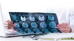 stage universitari medicina legale forense Tech Universidad