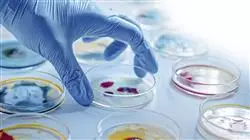 stage universitari nutrizione genomica precisione Tech Universidad