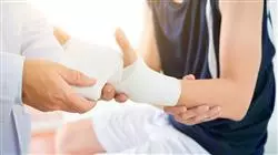 stage universitari perizia medica valutazione danno corporeo Tech Universidad