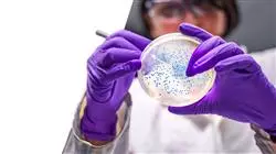 stage universitari progressi terapia antibiotica antibiotico resistenza Tech Universidad