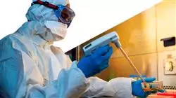 stage universitario infettivologia clinica terapia antibiotica Tech Universidad