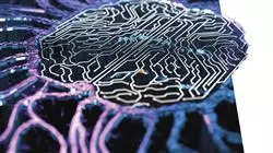 stage universitario intelligenza artificiale programmazione Tech Universidad