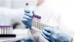 stage universitario nutrizione genomica precisione Tech Universidad