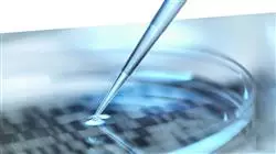 stage universitario oncologia precisione genomica big data Tech Universidad
