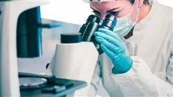 stage universitario progressi terapia antibiotica antibiotico resistenza Tech Universidad