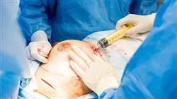 study aesthetic plastic surgery TECH Global University