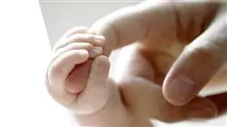 study breastfeeding midwives TECH Global University