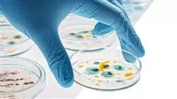 study clinical infectious diseases advanced antibiotic therapeutics Tech Universidad