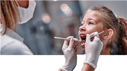 study endodontics apical microsurgery Tech Universidad