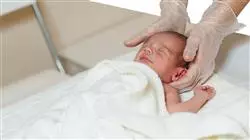 study physiotherapy early care Tech Universidad
