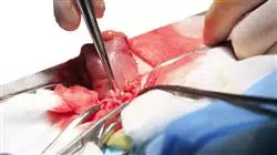 study proctology TECH Global University