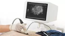 vocational apprenticeships clinical ultrasound emergencies critical care Tech Universidad