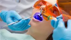 vocational apprenticeships comprehensive aesthetic medicine dentists TECH Global University