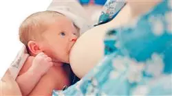 vocational apprenticeships postpartum midwives Tech Universidad